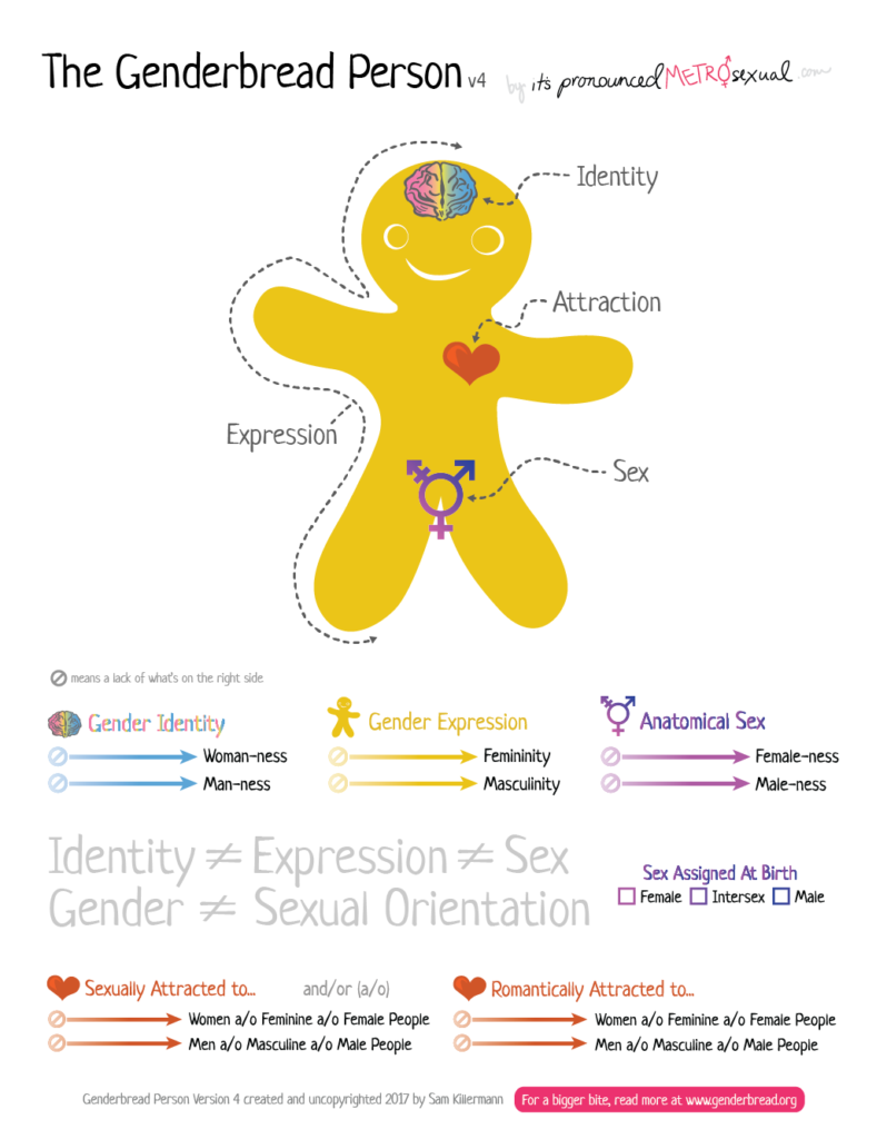 Genderbread Person v4 - explains the difference between gender identity, attraction, orientation, sex, etc.